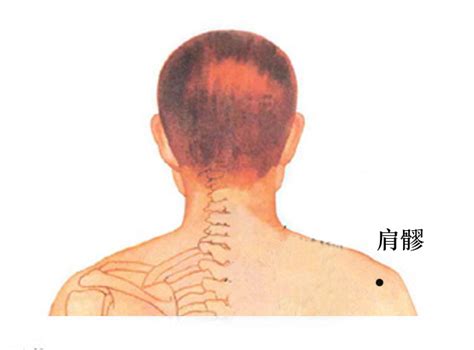 肩真穴|肩髎:命名,穴位解剖,穴位找法,標準定位,取法,操作方法,。